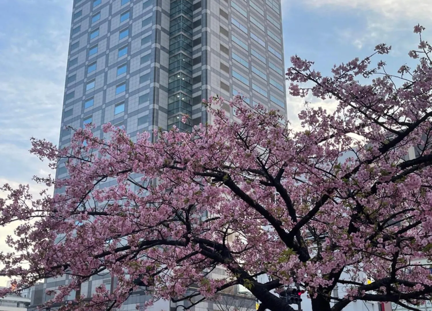 Skytree View Premier Hotel-Kinshicho Tokyo 0*,  Japan